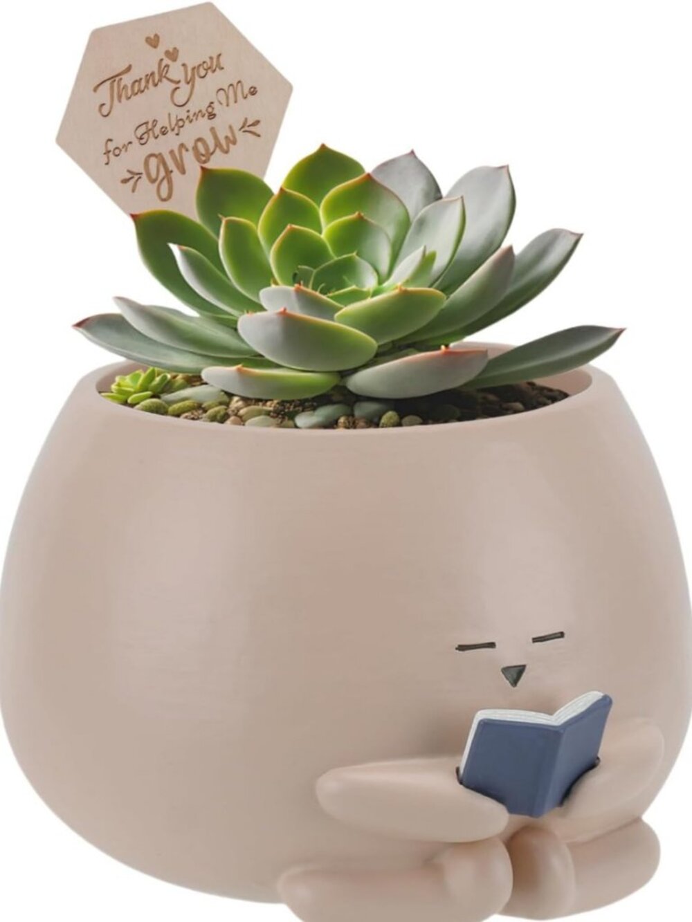 Cute Bookworm Planter Pot for Succulents - Indoor Outdoor Decor & Gift Idea